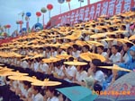 文明观众,秩序井然