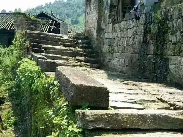 f.webp.jpg f.webp.jpg
