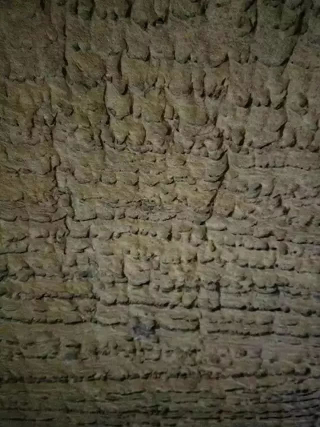 14.webp.jpg 14.webp.jpg