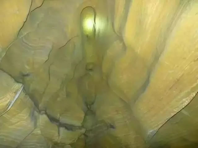 20.webp.jpg 20.webp.jpg