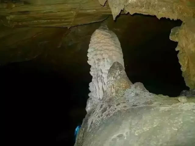 23.webp.jpg 23.webp.jpg