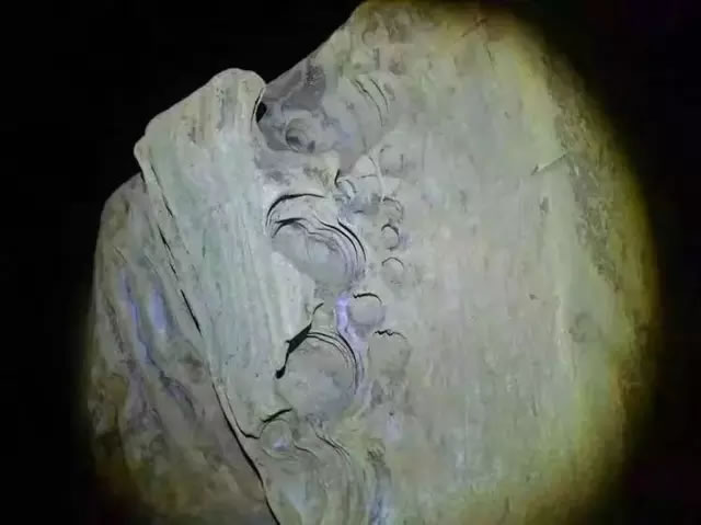 26.webp.jpg 26.webp.jpg