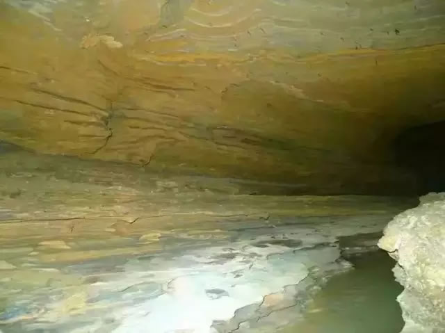 27.webp.jpg 27.webp.jpg