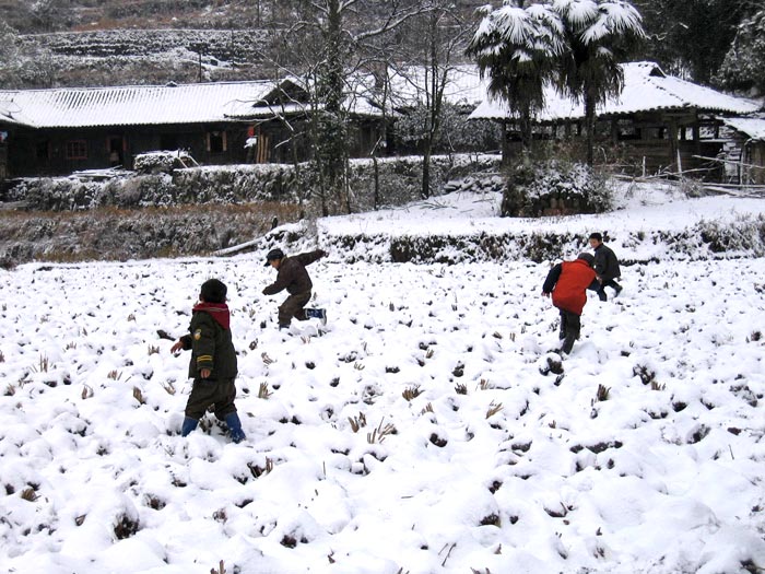 顽童戏雪