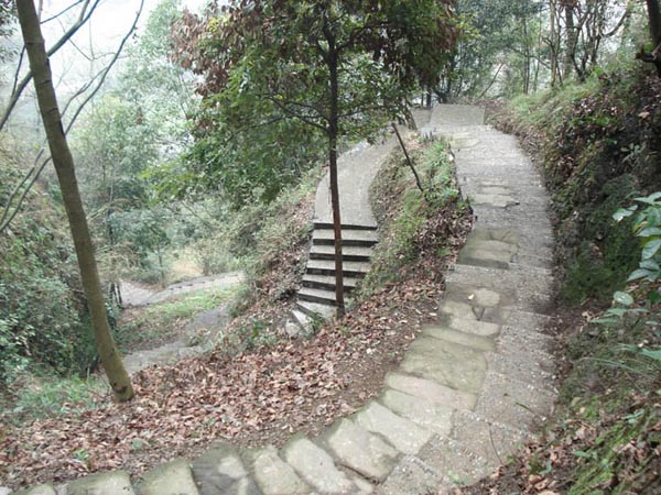 爬上明月山的石阶