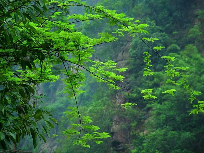 山里人拍摄的山