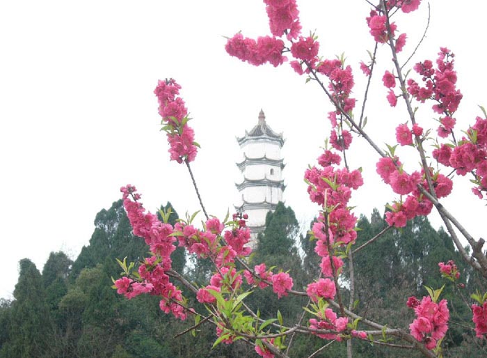 桃花又红凤鸣塔