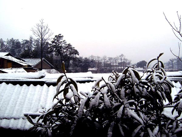 新年后的雪景