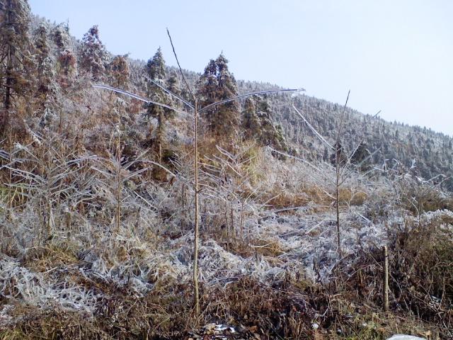 七甲坪山水风景图