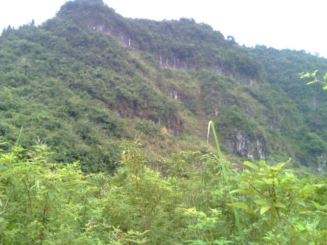 楠木铺乡常德湖村