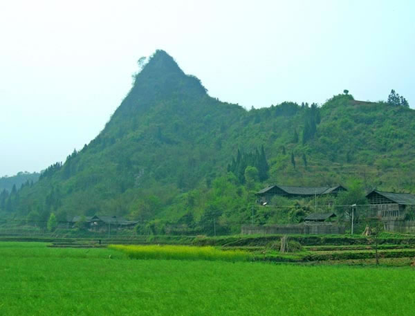 沅陵县肖家桥乡大坪村的独子峰