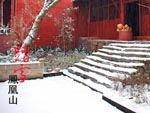 踏雪凤凰寺