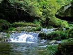 原始沟谷山涧流水