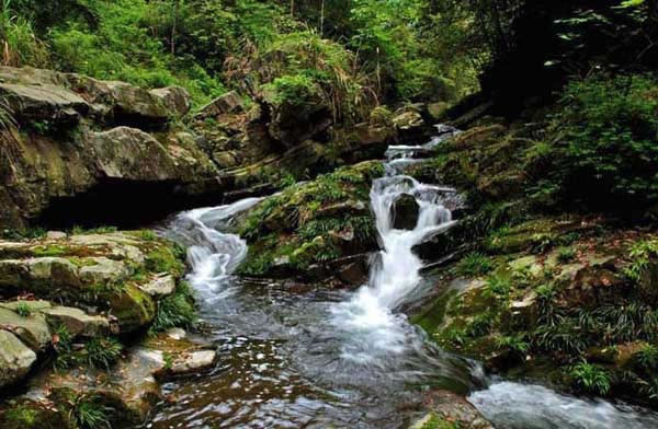 借母溪，高山/深谷/小溪/流水