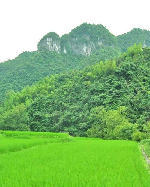 沅陵县火场土家族乡的雪花洞