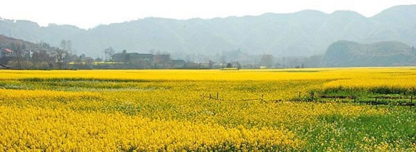 沅陵乡域,田野风光