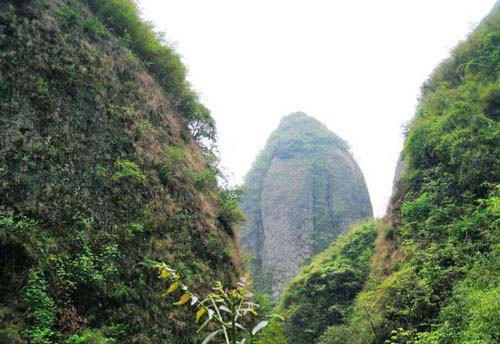 五强溪山水,春意盎然，风光无限