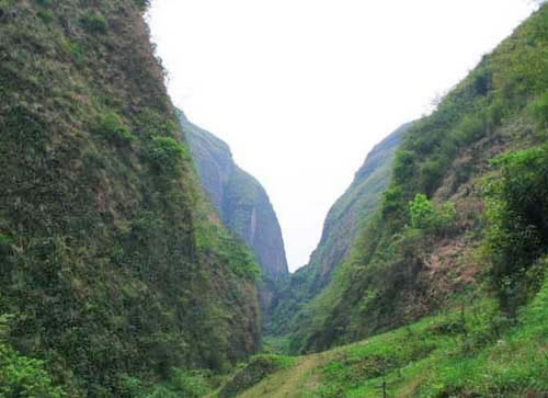 五强溪山水,春意盎然，风光无限