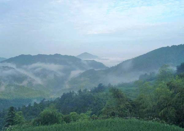 沅陵县荔溪乡(原称竹园乡)张其坳村高茶坡的早晨