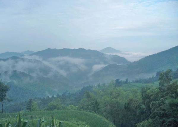 沅陵县荔溪乡(原称竹园乡)张其坳村高茶坡的早晨