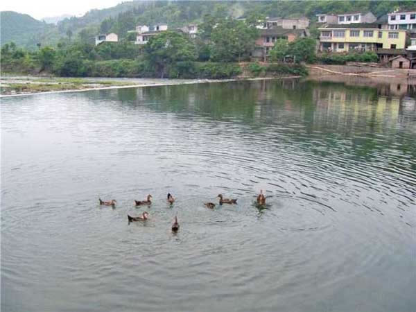 沅陵县乌宿乡清水坪村,春光无限