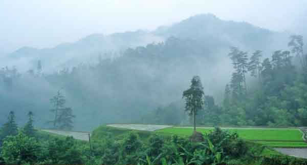 沅陵县杜家坪乡松溪村羊来坪