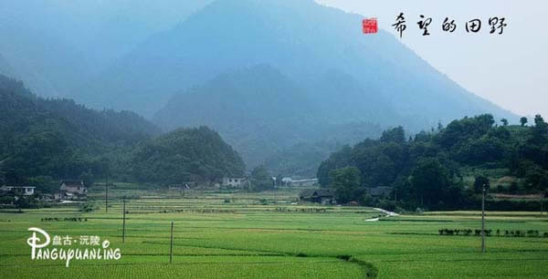 沅陵希望的田野