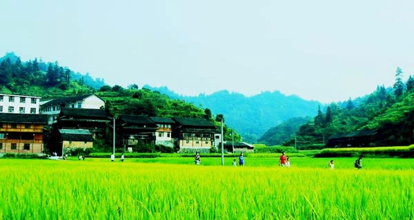 火场乡的山水人家田园风光