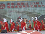沅陵首届茶文化旅游节