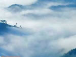 林海晨雾,齐眉界高山胜景